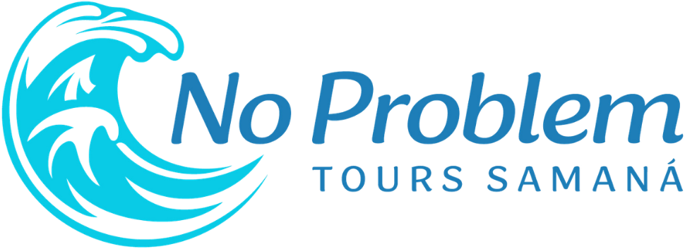 Logo png noproblemtourssamana.com