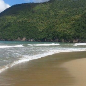 Zip Line + Tree House + Casa Típica + Playa El Valle Excursion