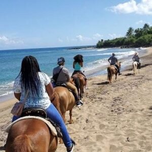 Horseback Riding + Playa Rincón Excursion