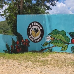 Private Coffee & Cacao Factory + El Limón Waterfall Excursion